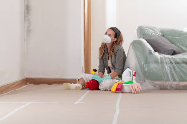 Reliable Mold Remediation contractor in Lakeside, OR by WQB Mold Removal